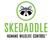 Skedaddle Humane Wildlife Control logo