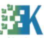 Kaos Solutions logo