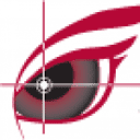 Eagle Eye DVR logo