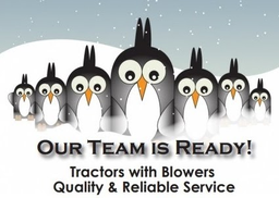 D&S Snow Removal Services Inc. logo